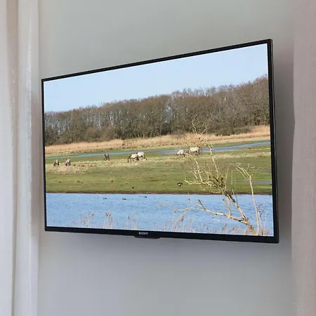 Reetdorf Geltinger Birk Malerhaus Niedermoor Vakantiehuis Nieby (Nieby, Schleswig-Flensburg)